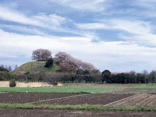 埼玉県行田市・さきたま古墳群